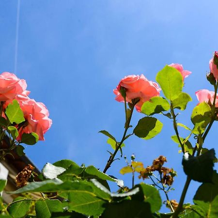 Studio Les Hortensias Awinion Zewnętrze zdjęcie